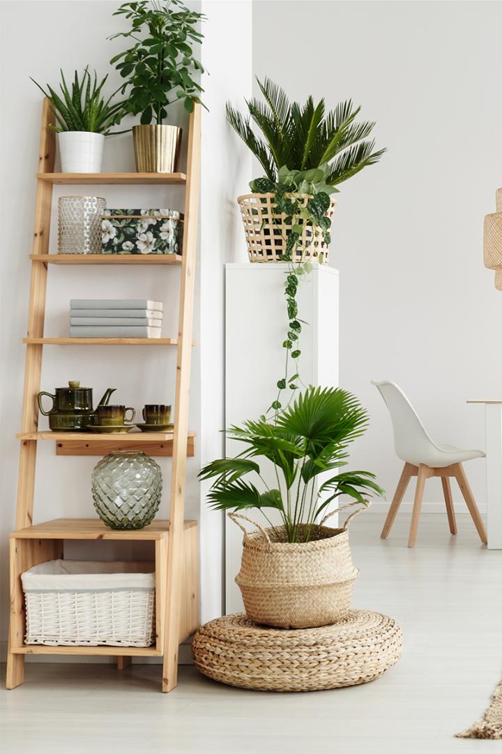 Décoration extérieure Clermont-Ferrand